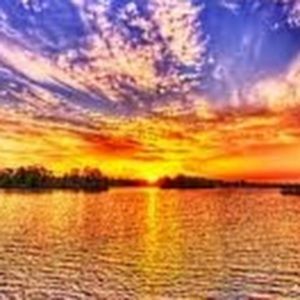 Meet your Posher, Calissa